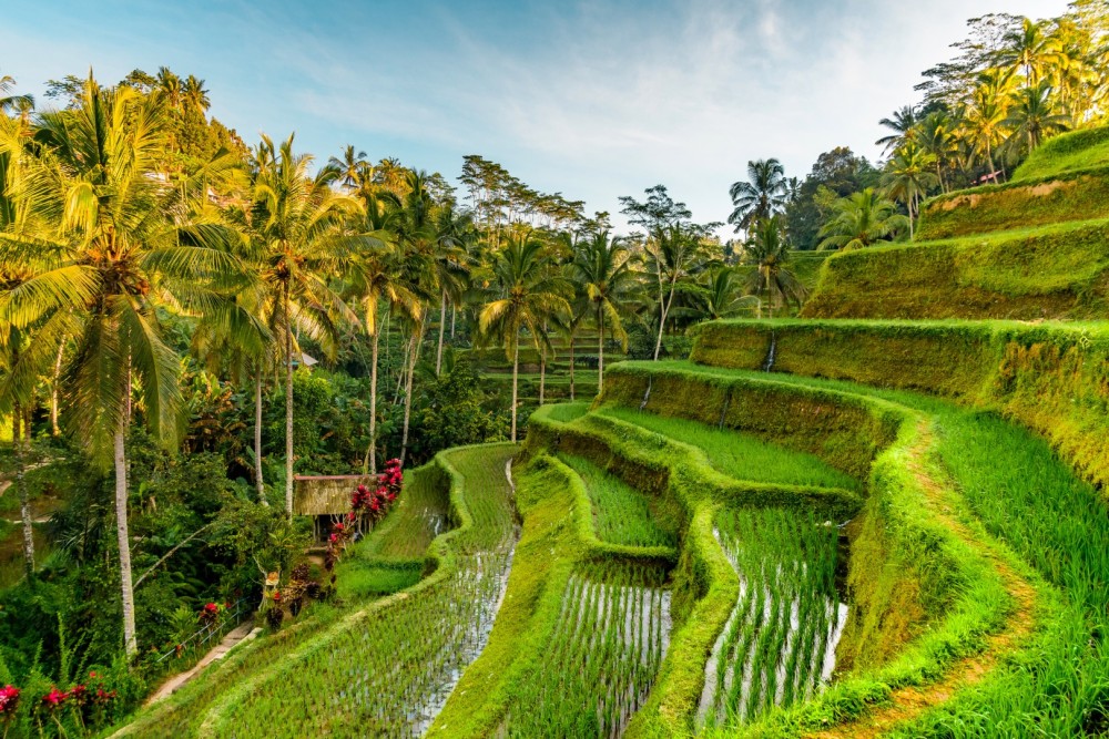 Discover Hidden Waterfall, Unesco Rice Terraces and Mountain Temple | ®ExcursionMania