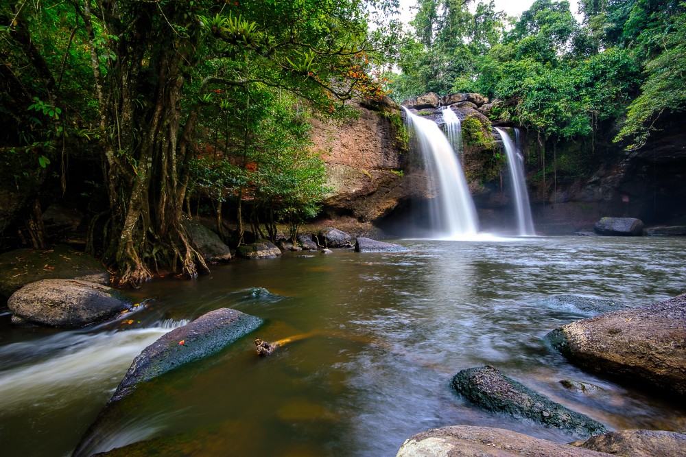 UNESCO World Heritage Site : Khao Yai National Park Tour | ®ExcursionMania