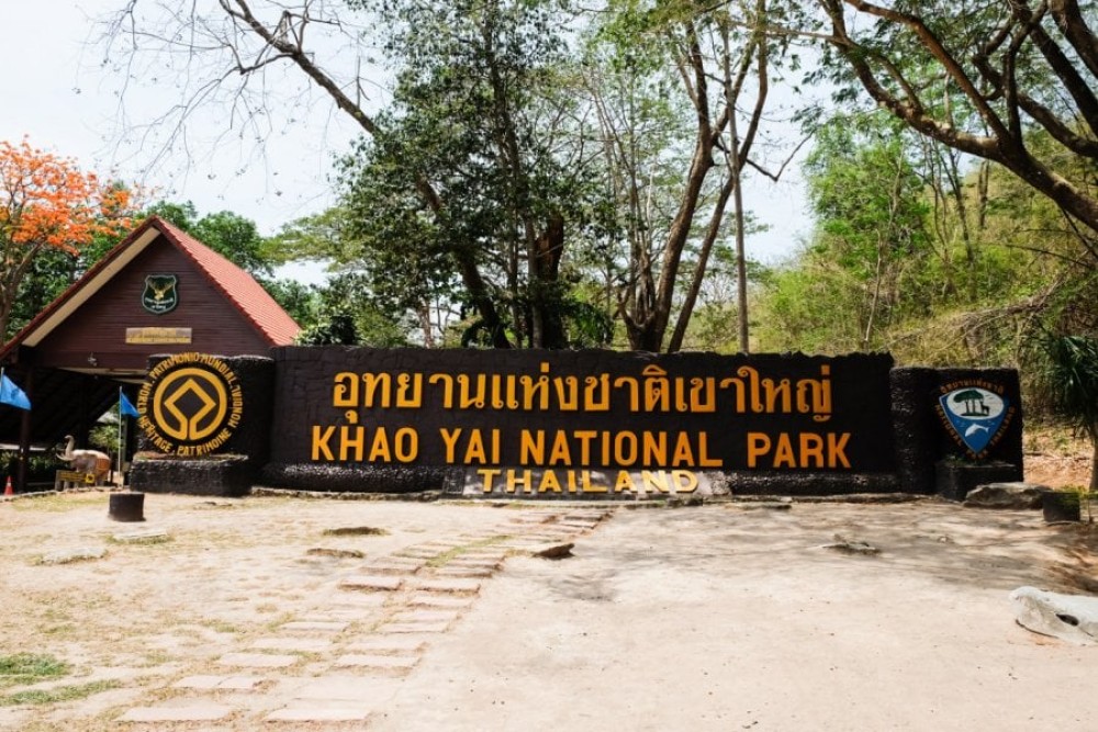 UNESCO World Heritage Site : Khao Yai National Park Tour | ®ExcursionMania