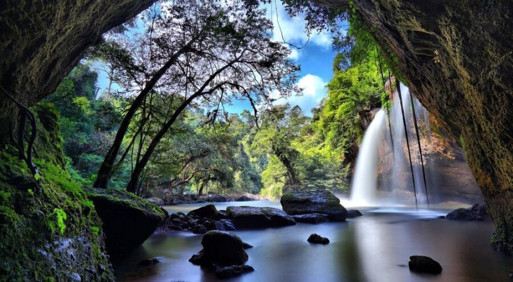 UNESCO World Heritage Site : Khao Yai National Park Tour | ®ExcursionMania