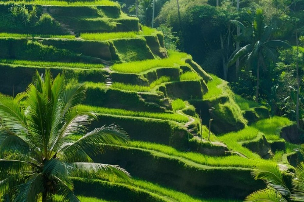Private Shore Excursion: Customized Best of Bali Tour | ®ExcursionMania