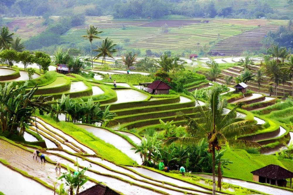 Private Shore Excursion: Customized Best of Bali Tour | ®ExcursionMania
