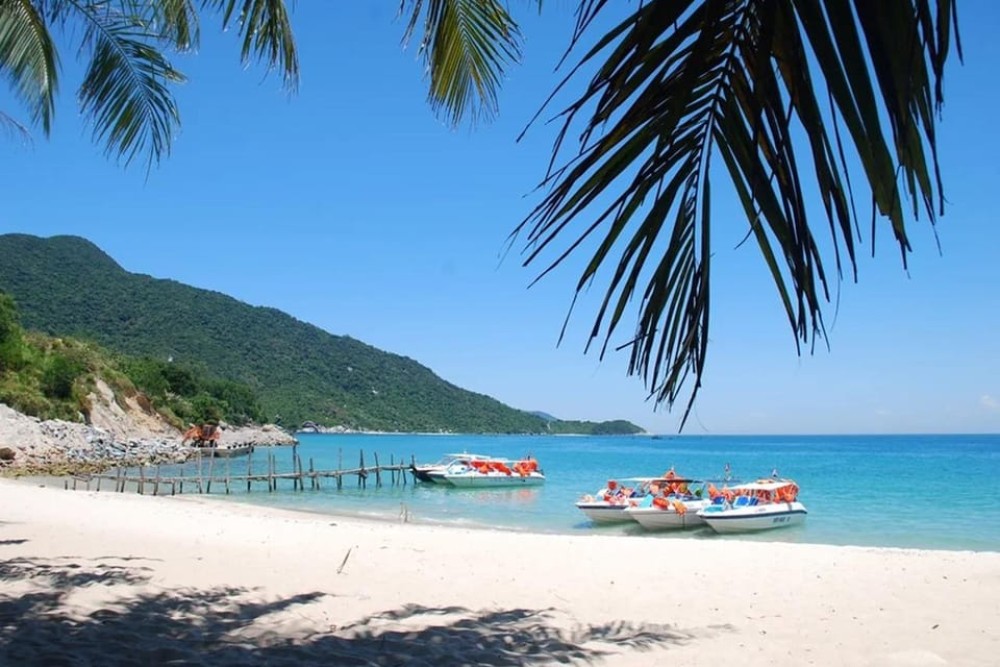 Da Nang/Hoi An: Cham Islands Snorkeling by High-Speed Boat | ®ExcursionMania