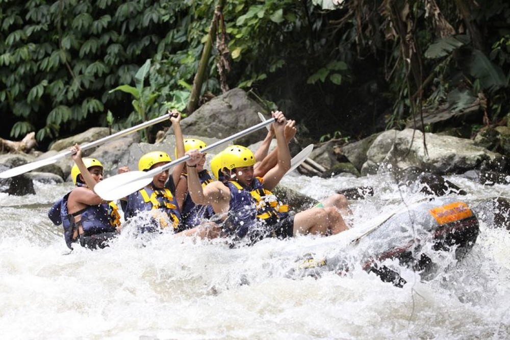 Ubud White Water Rafting, Rice Terrace and Jungle Swing | ®ExcursionMania