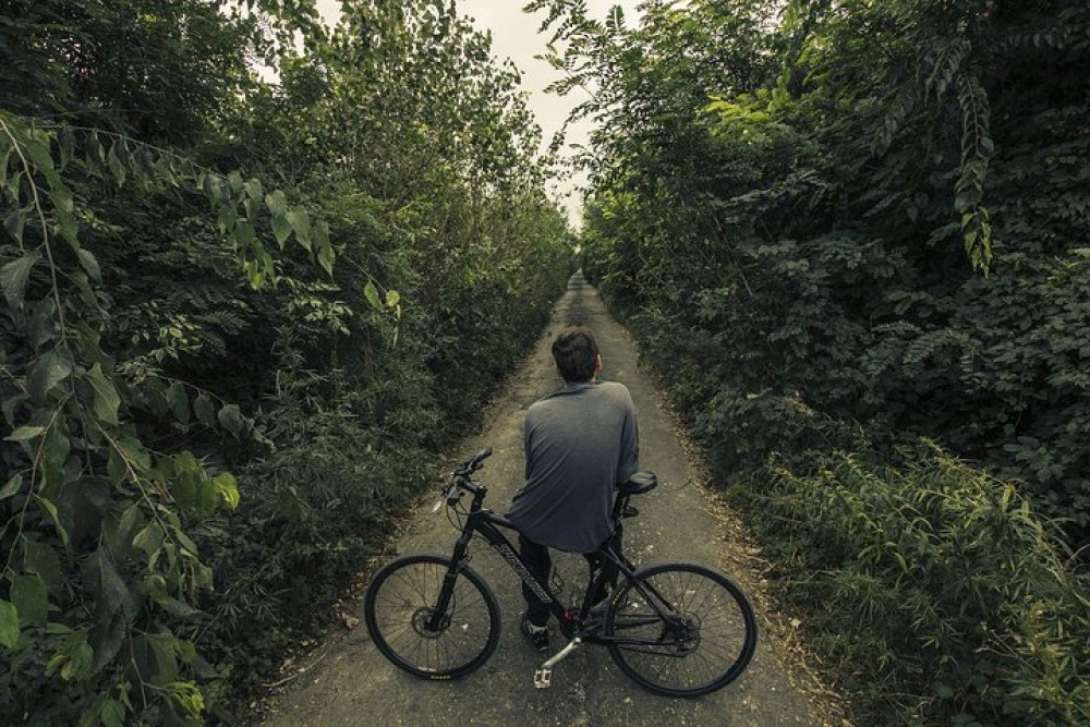 Bangkoks Hidden Oasis : Explore Bangkoks Green Lung, Bang Krachao | ®ExcursionMania