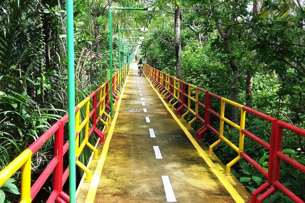Bangkoks Hidden Oasis : Explore Bangkoks Green Lung, Bang Krachao | ®ExcursionMania