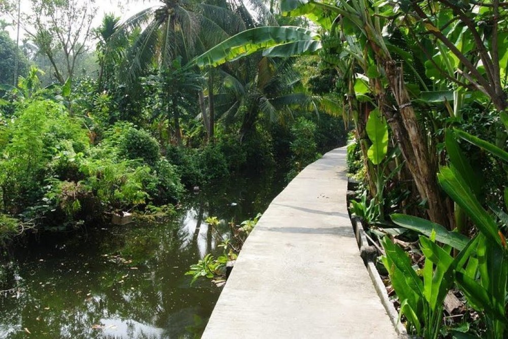 Bangkoks Hidden Oasis : Explore Bangkoks Green Lung, Bang Krachao | ®ExcursionMania