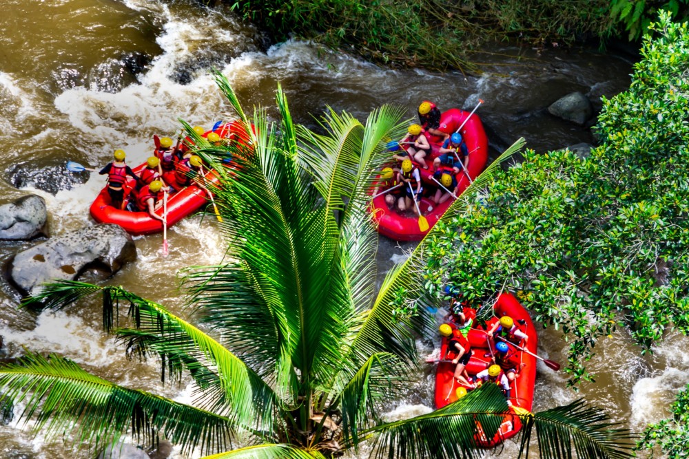 Full-Day Ayung River White Water Rafting and Ubud Tour | ®ExcursionMania