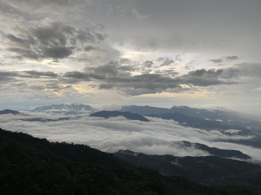 Chan May Port/Tien Sa Port to Golden Bridge and Ba Na Hills | ®ExcursionMania