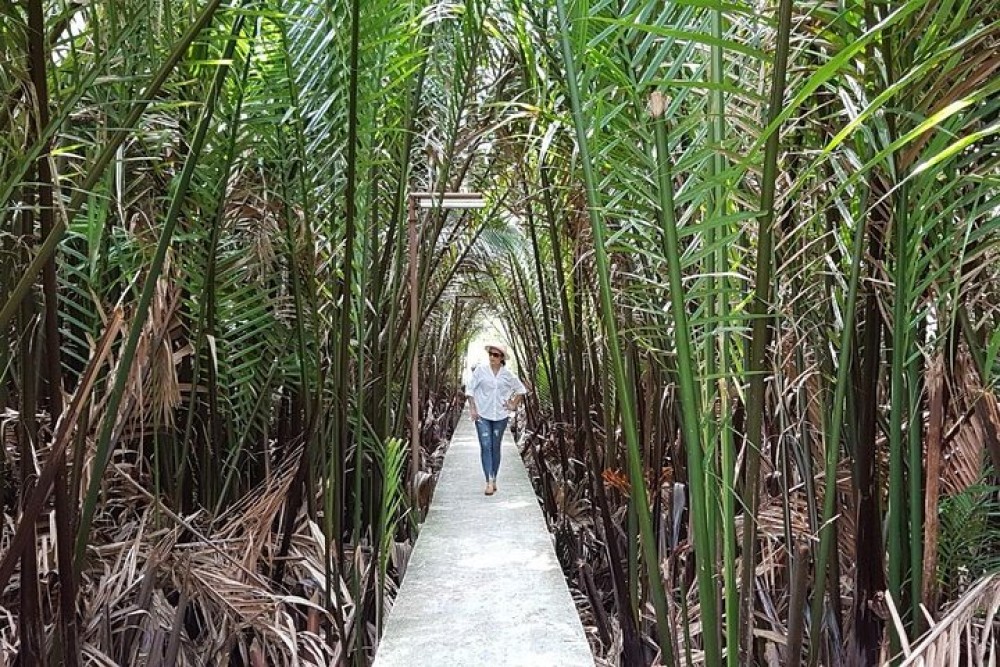 Lost in Bangkok : Green Lung Jungle Bicycle Ride with Lunch | ®ExcursionMania