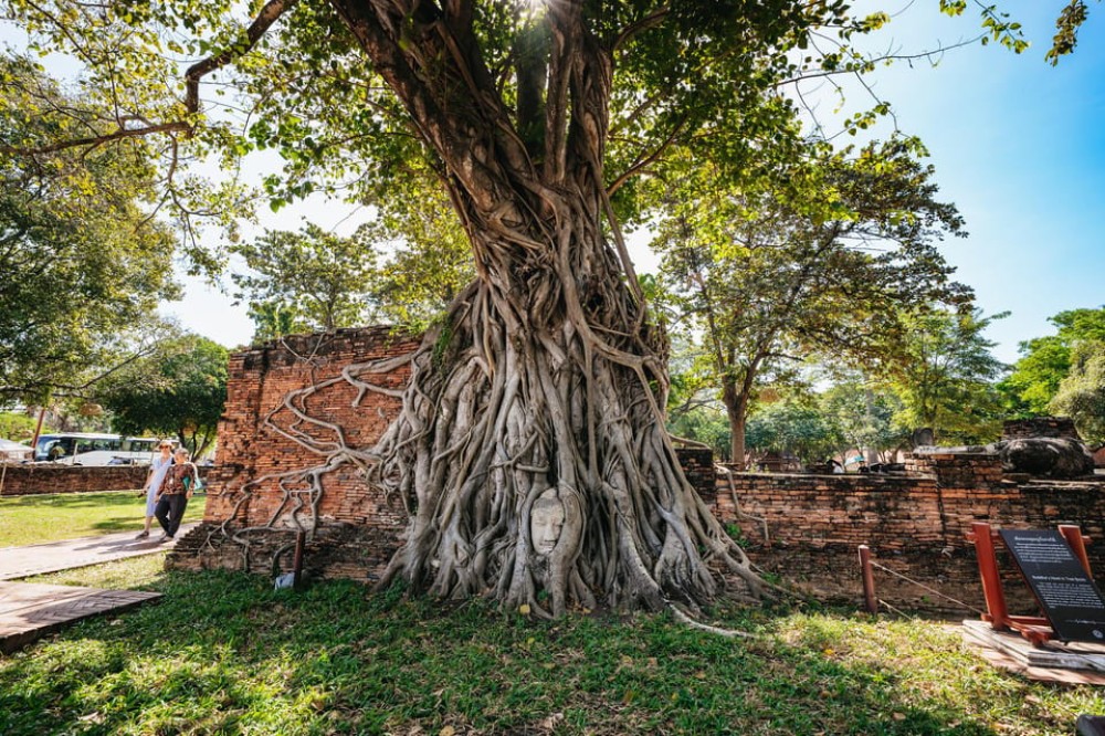 Ayutthaya Eco-Friendly Bike Tour-Famous Landmarks & Cultural Gems | ®ExcursionMania