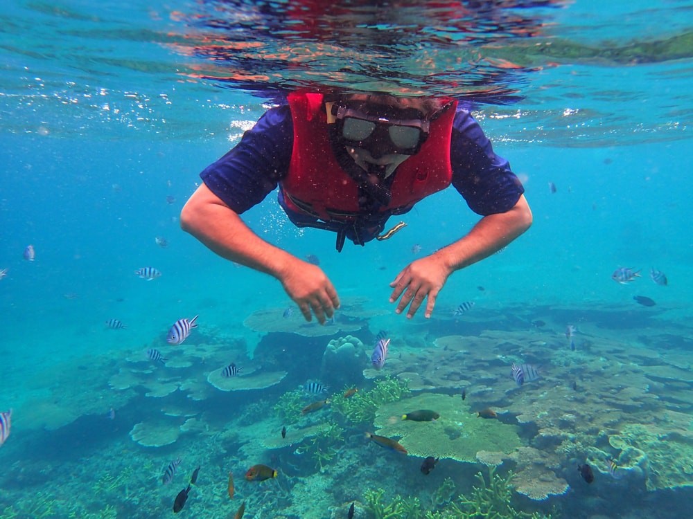 Turunc Snorkeling Tour With Free Lunch & Equipments | ®ExcursionMania