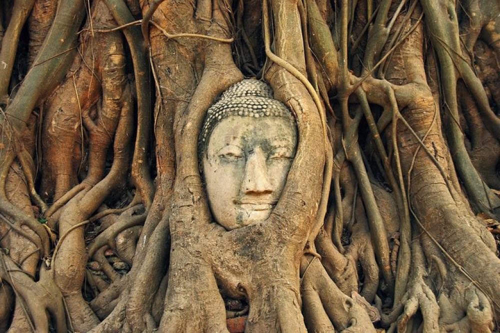 Ayutthaya Tour from Bangkok with Grand Pearl River Cruise | ®ExcursionMania
