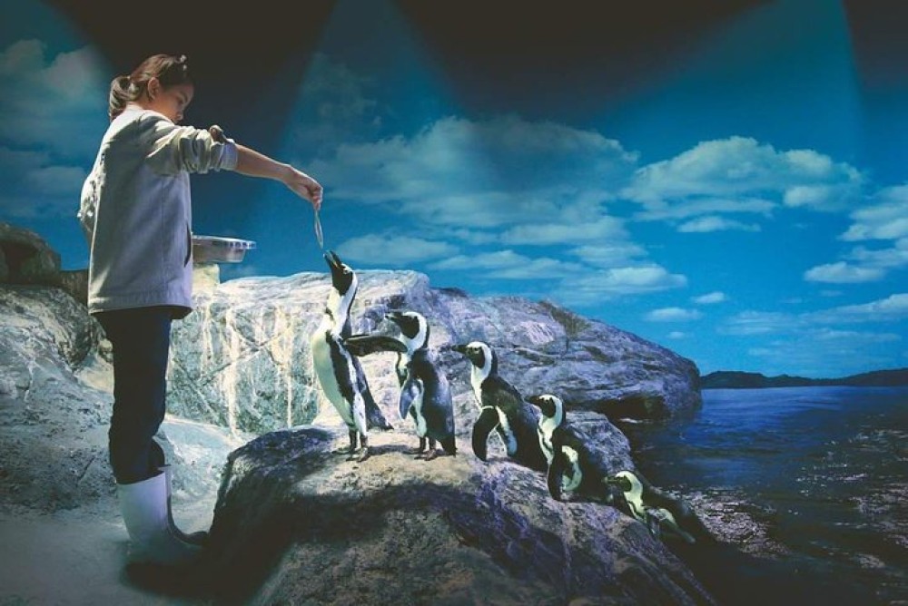 SEA LIFE Ocean World at Bangkok Admission Ticket | ®ExcursionMania