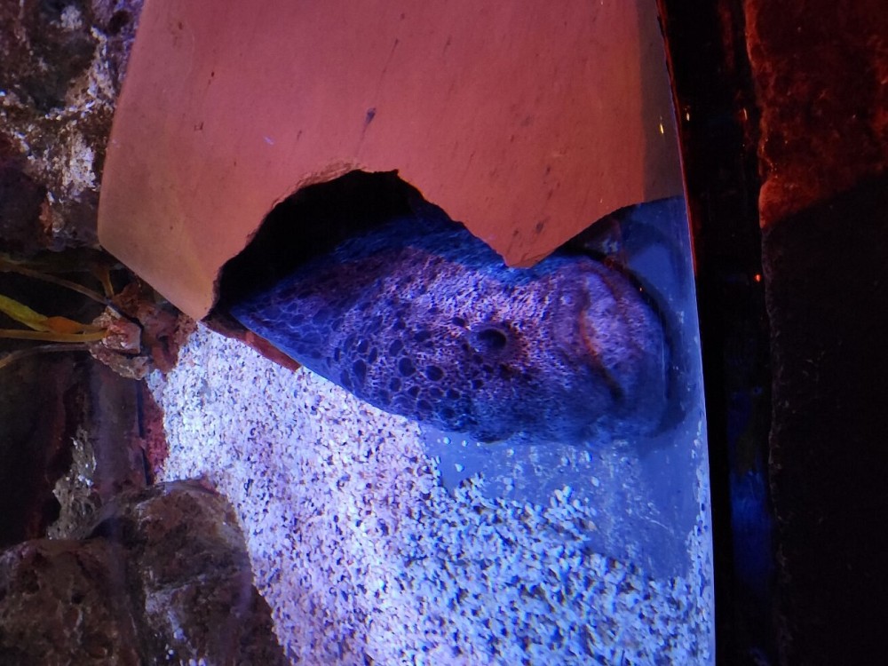SEA LIFE Ocean World at Bangkok Admission Ticket | ®ExcursionMania