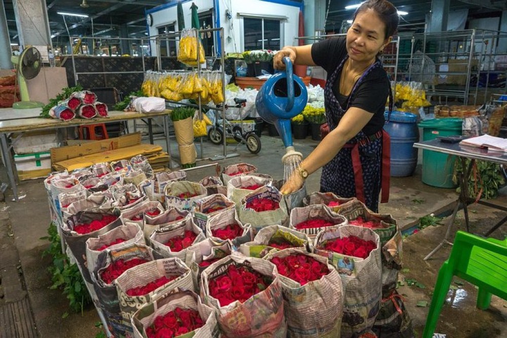 Bangkok Tour By Selfie Expert : LittleIndia, WatTraimit, WatPho | ®ExcursionMania