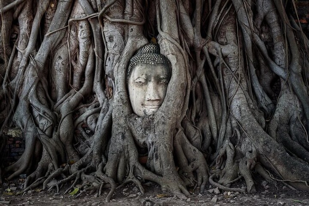 Ayutthaya Glittering Sunset, Heritage Cruise, Noted Sights & Food | ®ExcursionMania