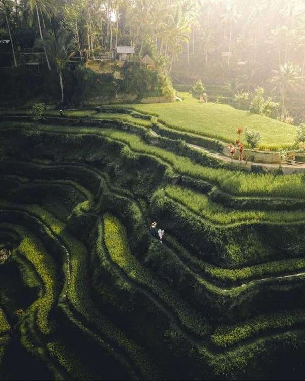 Bali Waterfalls, Water Temple & Rice Terraces Private Tour | ®ExcursionMania