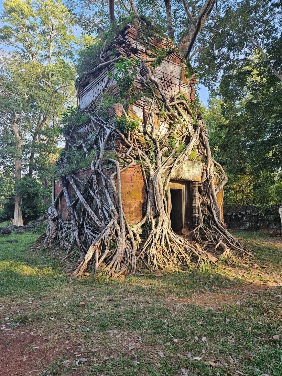 Koh Ker & Beng Mealea Full-Day Join-in Tour | ®ExcursionMania