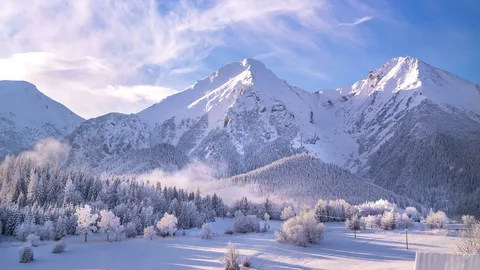 From Bratislava: High Tatras / Tatra Mountains  Liptov - 1d | ®ExcursionMania