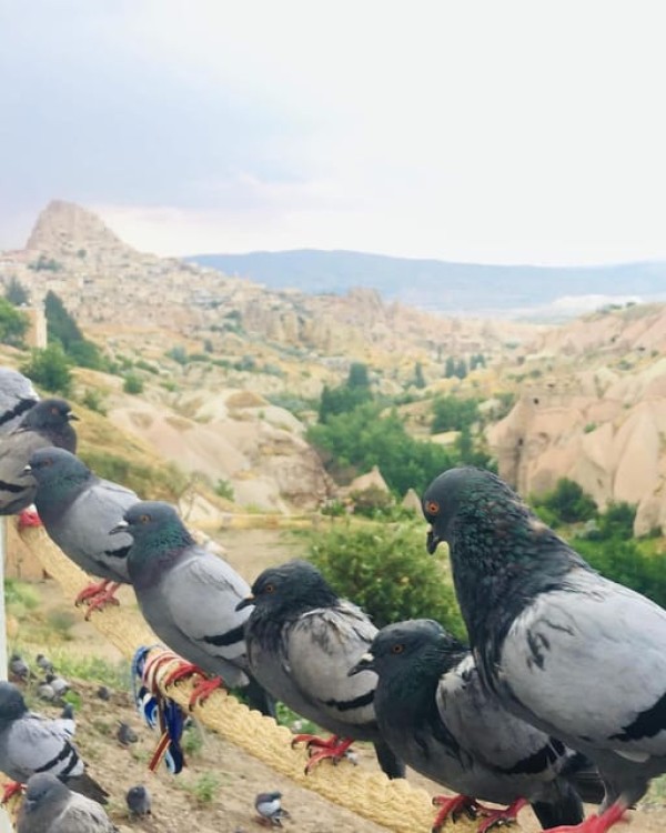 Cappadocia Green Tour | ®ExcursionMania