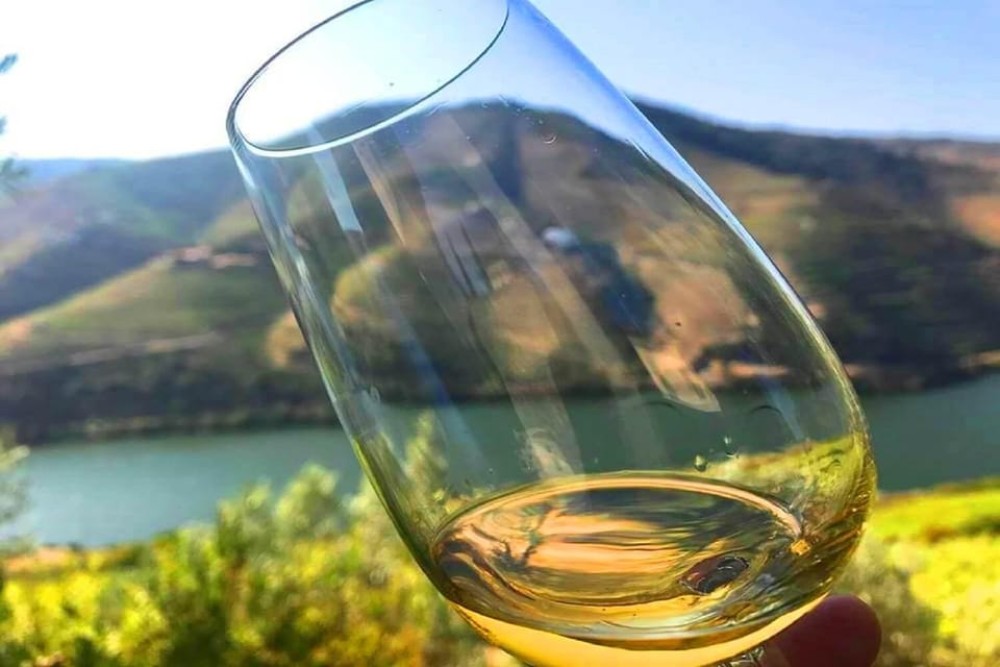 Amarante: e-Bike Tour and Vinho Verde - from Porto | ®ExcursionMania