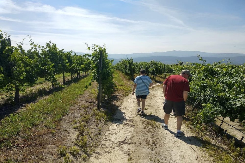 Amarante: e-Bike Tour and Vinho Verde - from Porto | ®ExcursionMania