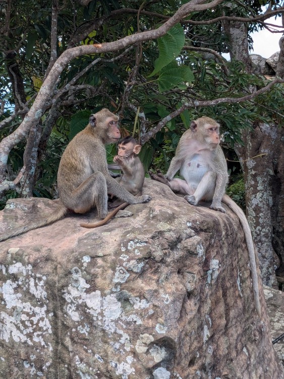 Full-Day Preah Vihear & Koh Ker Temple Small Group Shared Tour | ®ExcursionMania