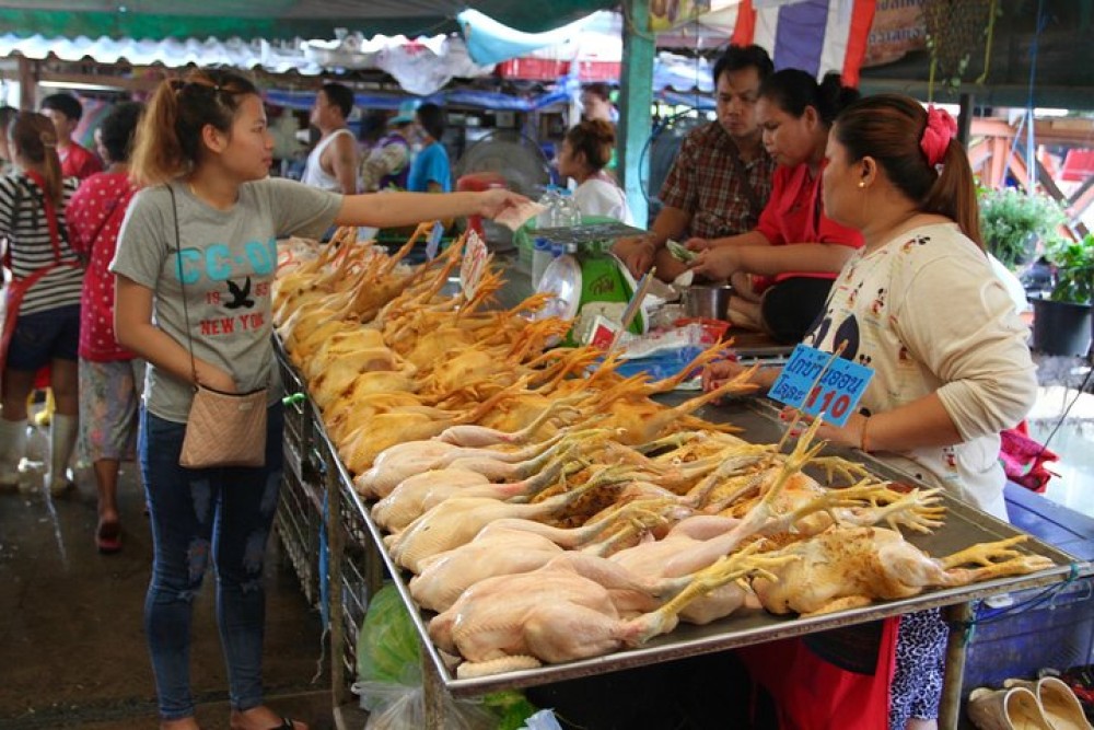 Bangkoks Green Lung Jungle Cycling Adventure Tour | ®ExcursionMania