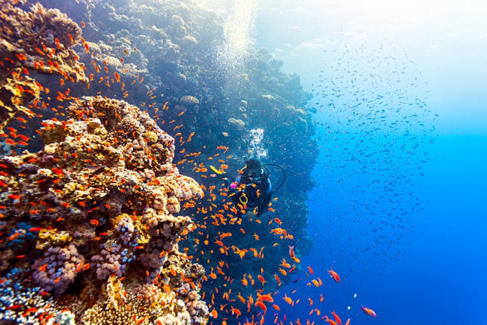Grand Egypt & The Nile | ®ExcursionMania