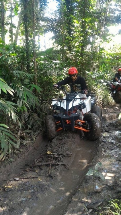 Ubud: ATV Quad Biking Adventure Guided Tour | ®ExcursionMania