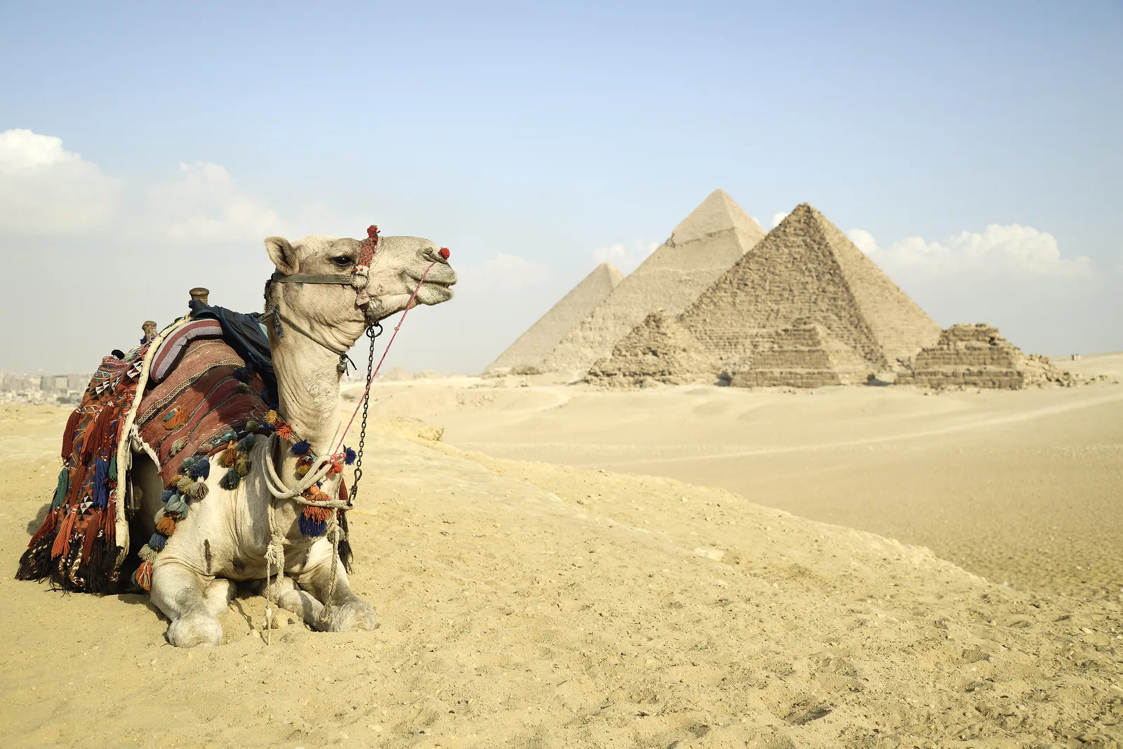 11 DAYS EGYPT & AROUND  Itinerary for 11 nights  12 days | ®ExcursionMania