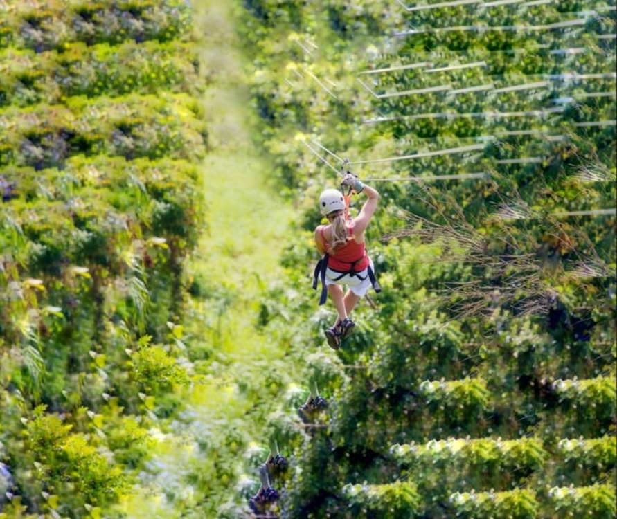 Cappadocia: Zipline, Jetboat, and Monster Safari Adventure | ®ExcursionMania