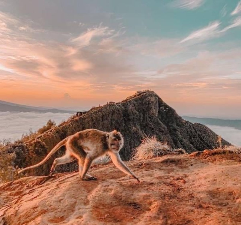 Mount Batur Sunset Trekking Tour | ®ExcursionMania