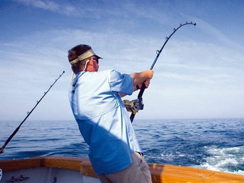 Turunc Fishing Tour With Rods & Baits Included | ®ExcursionMania