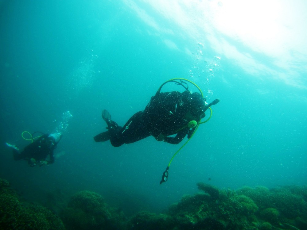 From Hurghada: Scuba Diving with Expert Guide & 2 Dives | ®ExcursionMania