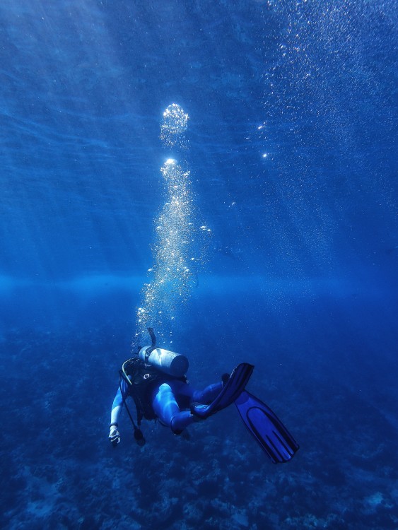 From Hurghada: Scuba Diving with Expert Guide & 2 Dives | ®ExcursionMania