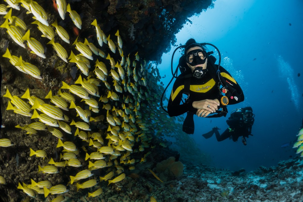 From Hurghada: Scuba Diving with Expert Guide & 2 Dives | ®ExcursionMania