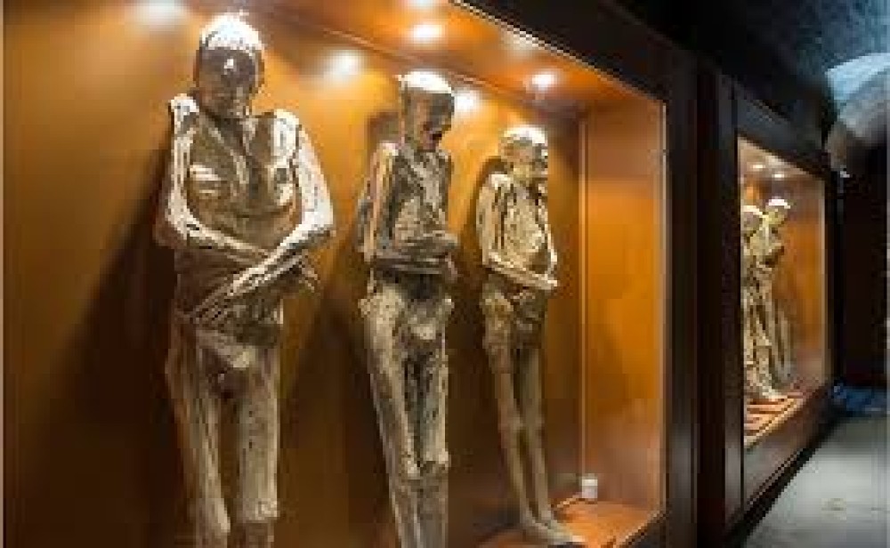 Luxor Private Tour: Luxor Museum & Mummification Museum | ®ExcursionMania