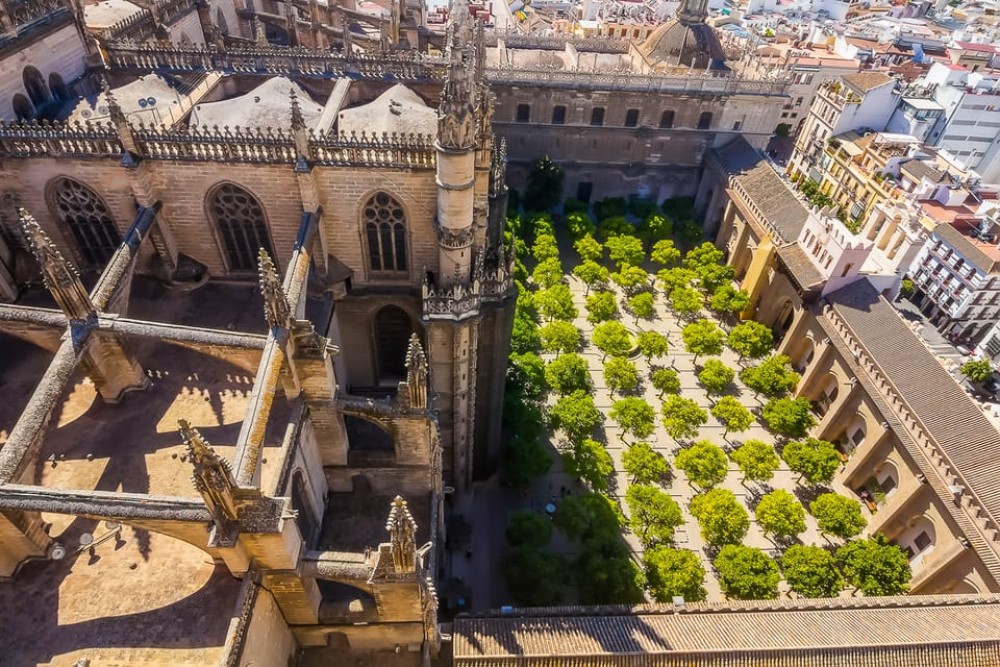 Cathedral & Giralda | ®ExcursionMania