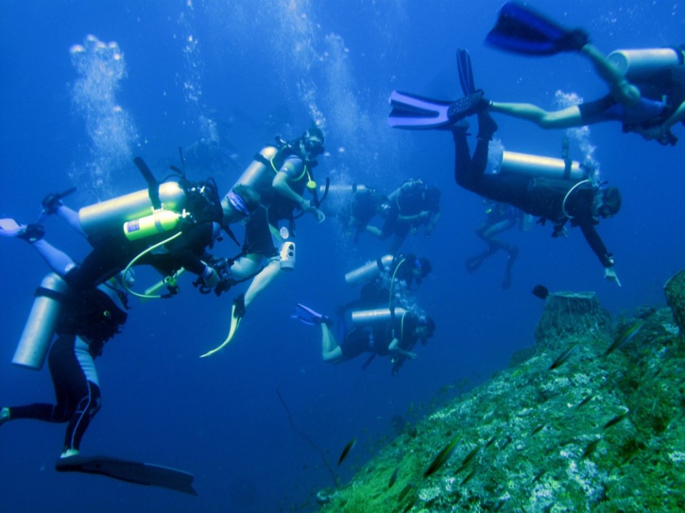 Sharm El Sheikh: Private Sharks Bay Scuba Diving Experience | ®ExcursionMania