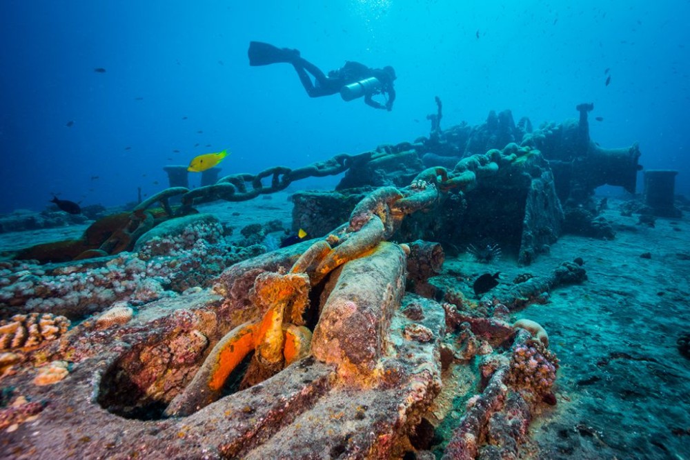 Sharm El Sheikh: Private Sharks Bay Scuba Diving Experience | ®ExcursionMania
