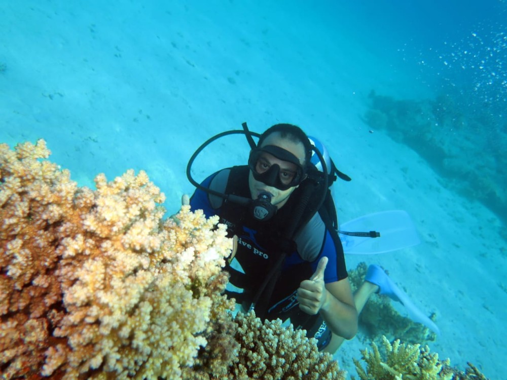Sharm El Sheikh: Private Sharks Bay Scuba Diving Experience | ®ExcursionMania
