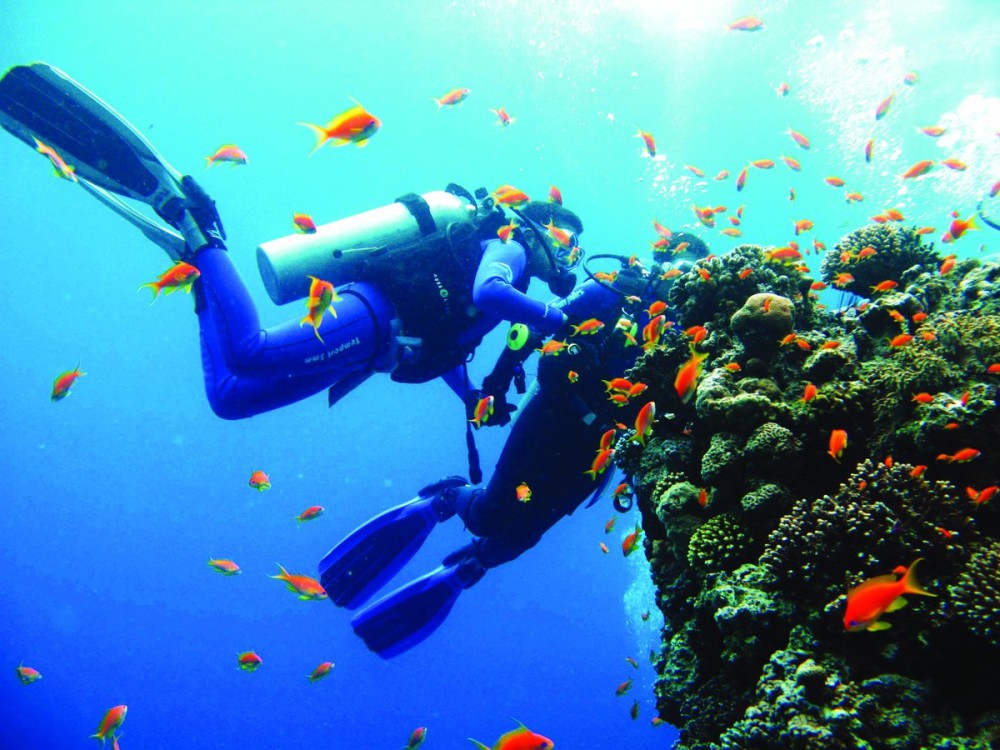 Sharm El Sheikh: Private Sharks Bay Scuba Diving Experience | ®ExcursionMania