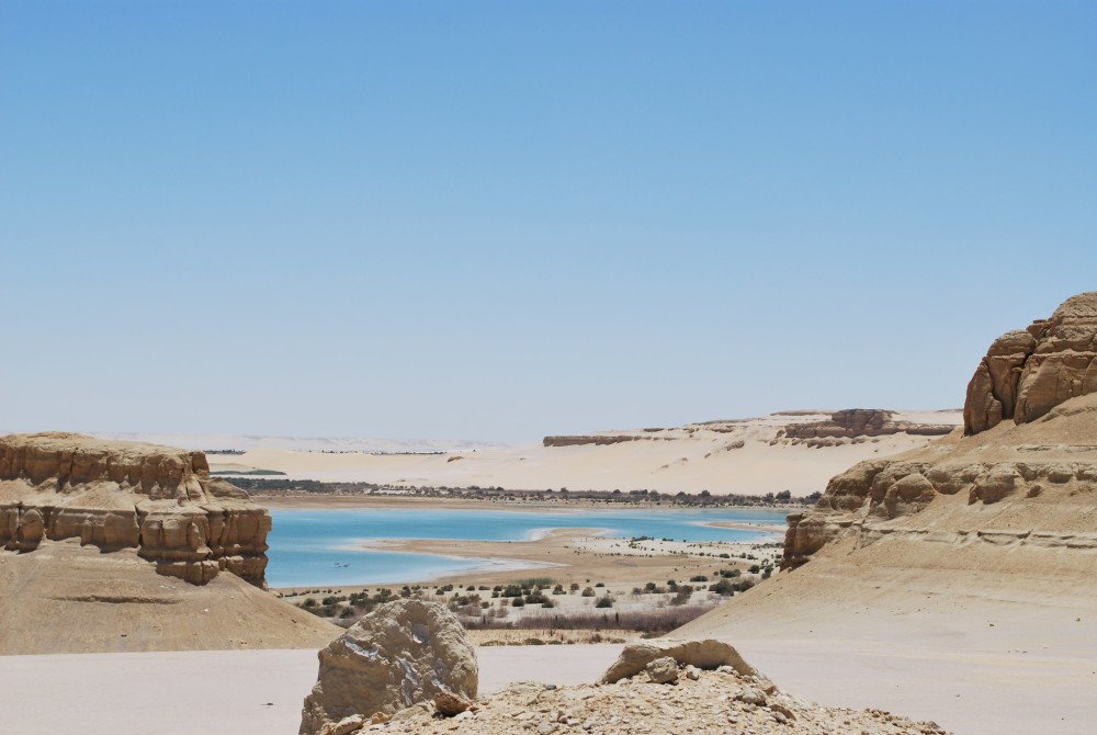 From Cairo: El Fayoum Oasis Private Day Trip with Lunch | ®ExcursionMania