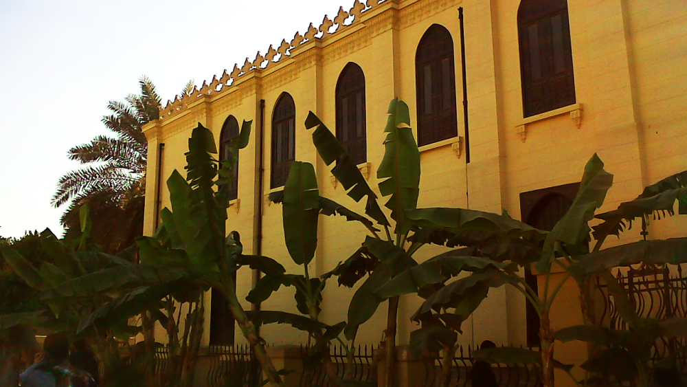 Cairo Private Tour: Egyptian Museum, Citadel & Coptic Cairo | ®ExcursionMania