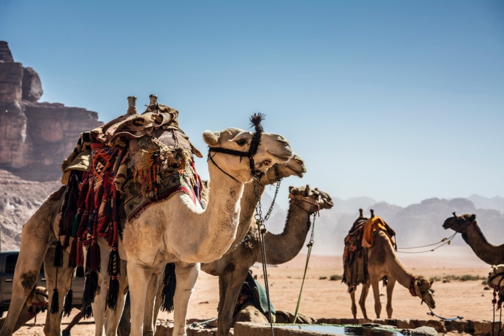 From Sharm El Sheikh: Discover Petra on a Day Trip by Ferry | ®ExcursionMania