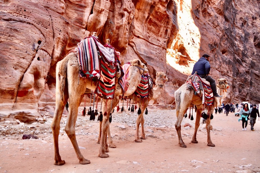 From Sharm El Sheikh: Discover Petra on a Day Trip by Ferry | ®ExcursionMania