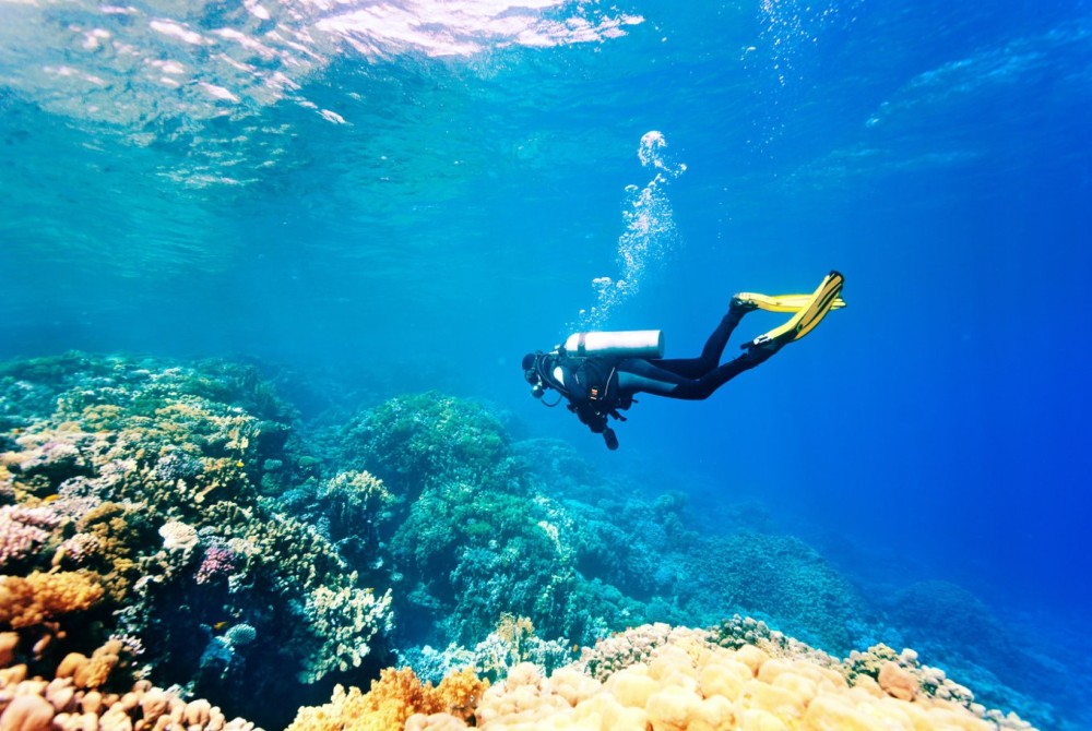 Sharm El-Sheikh: Guided Shore Scuba Diving Experience with 2 Dives | ®ExcursionMania