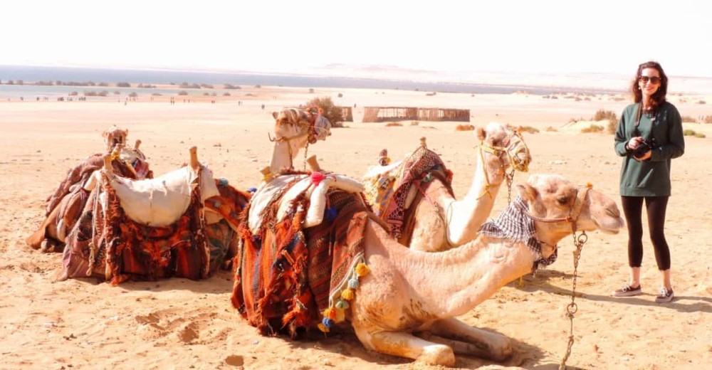Cairo: 2-Day White Desert & Bahariya Oasis Safari Adventure | ®ExcursionMania